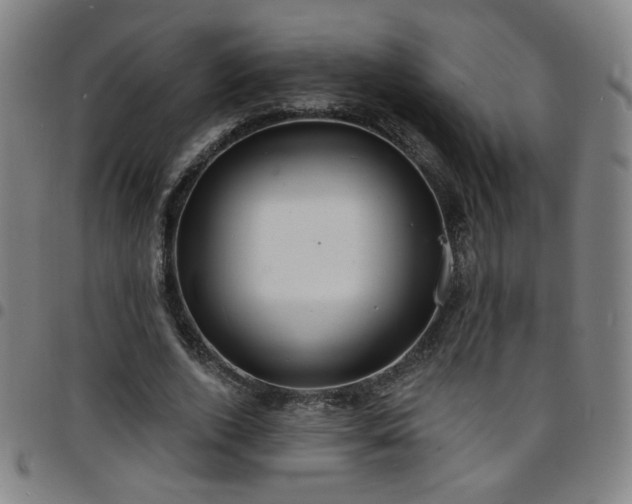 X0000097670728200803071554