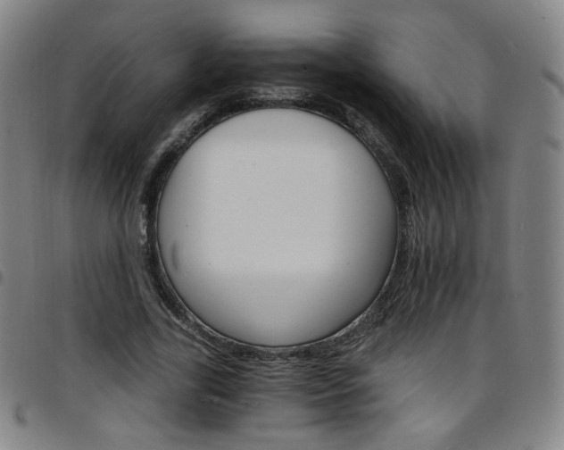 X0000097670731200803071554