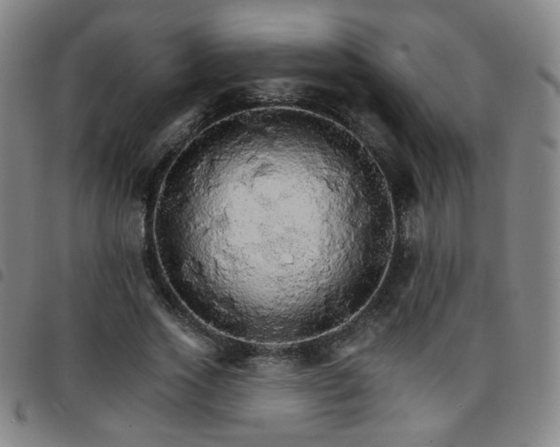 X0000097670733200803071554