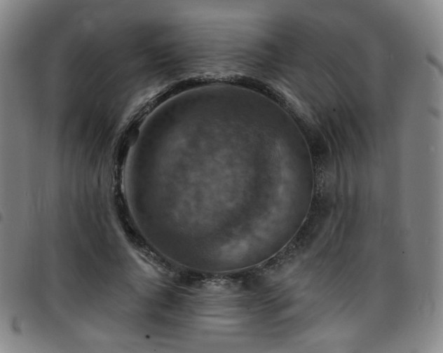 X0000097670736200803071554