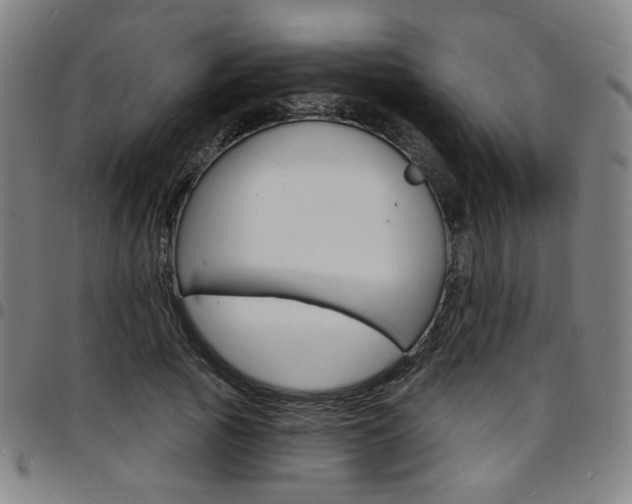 X0000097670737200803071554