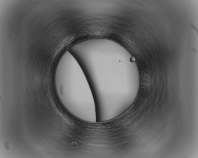 X0000097670738200803071554