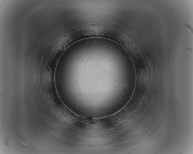 X0000097670739200803071554
