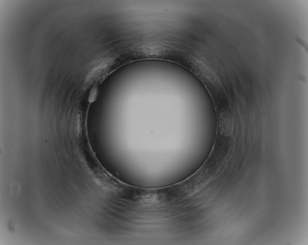 X0000097670740200803071554