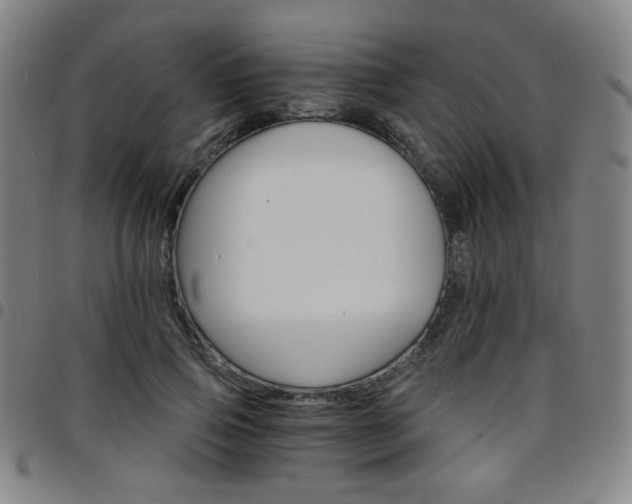 X0000097670741200803071554