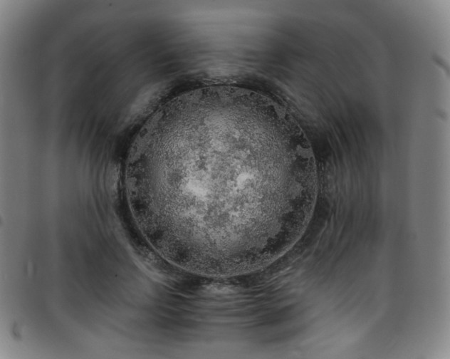 X0000097670742200803071554