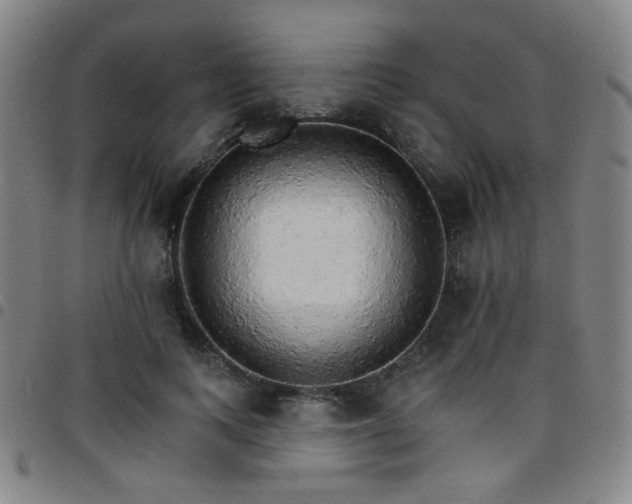 X0000097670743200803071554