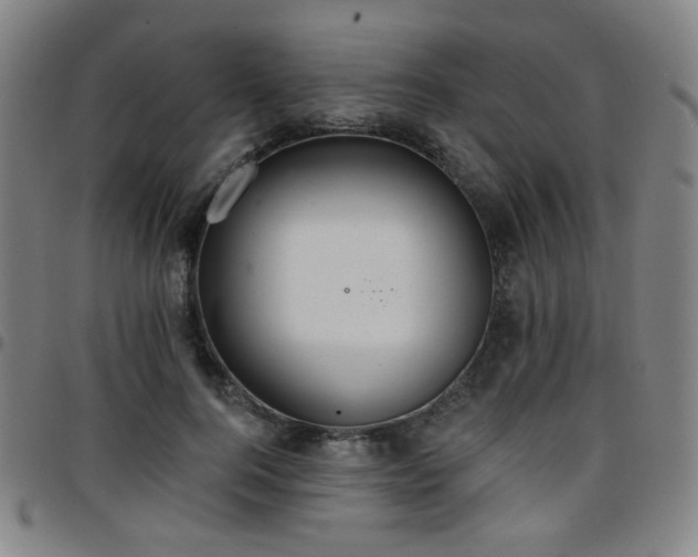 X0000097670744200803071554