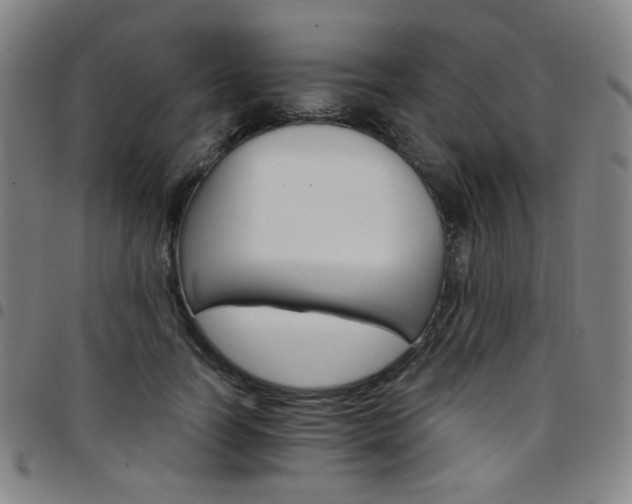 X0000097670746200803071554