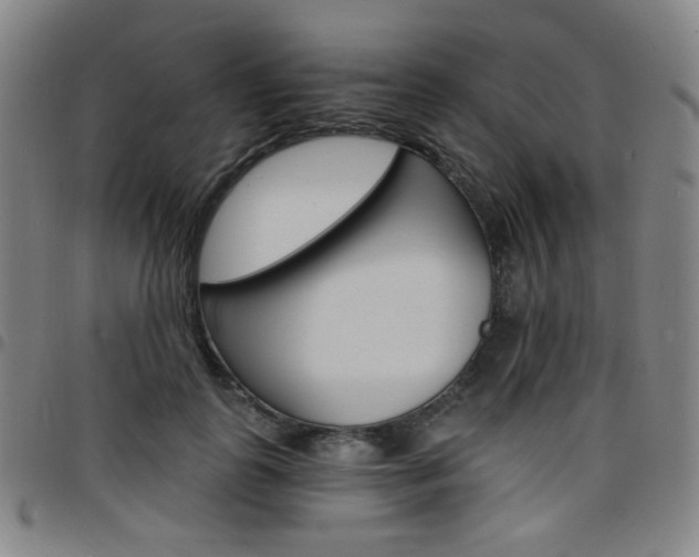 X0000097670747200803071554