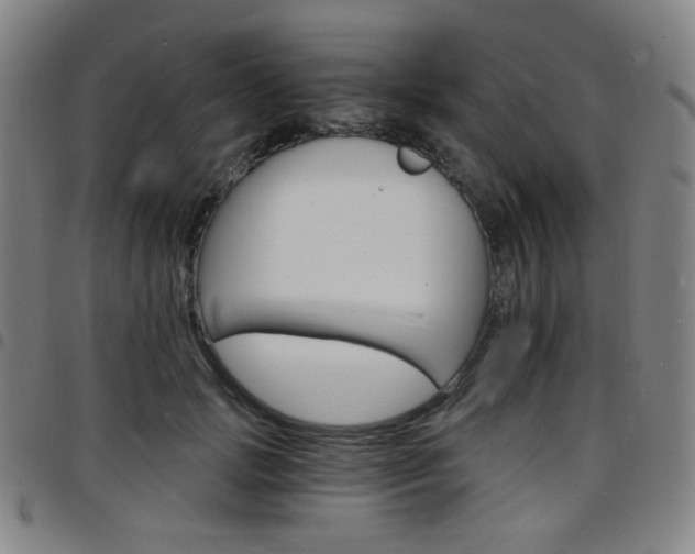 X0000097670749200803071554