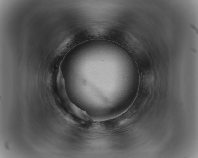 X0000097670750200803071555