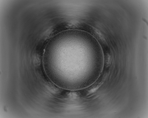 X0000097670751200803071555