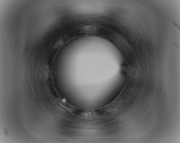 X0000097670752200803071555