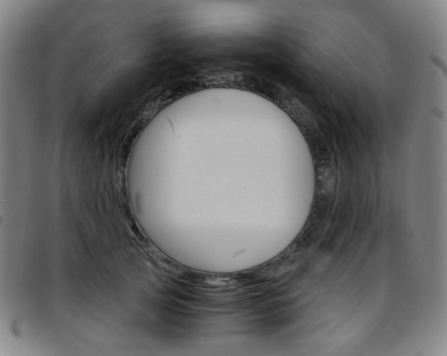 X0000097670753200803071555