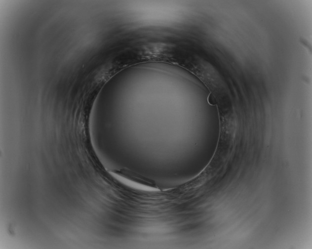 X0000097670754200803071555