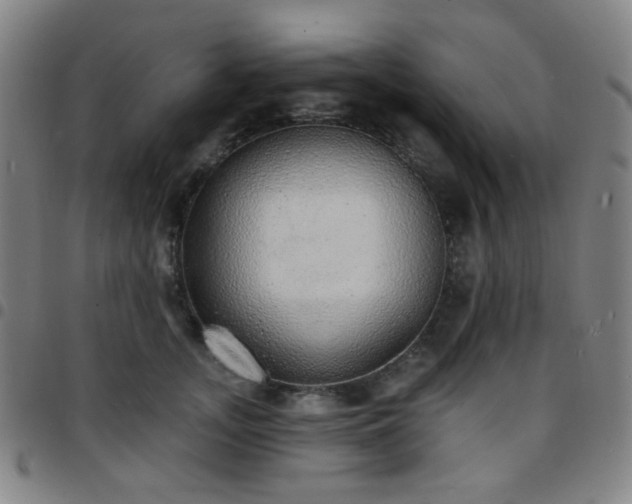 X0000097670755200803071555