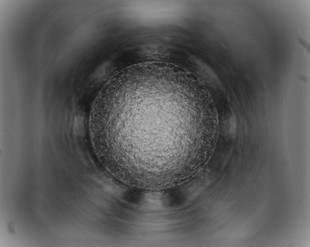 X0000097670757200803071555
