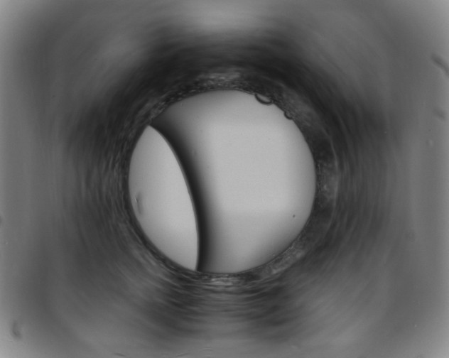 X0000097670758200803071555