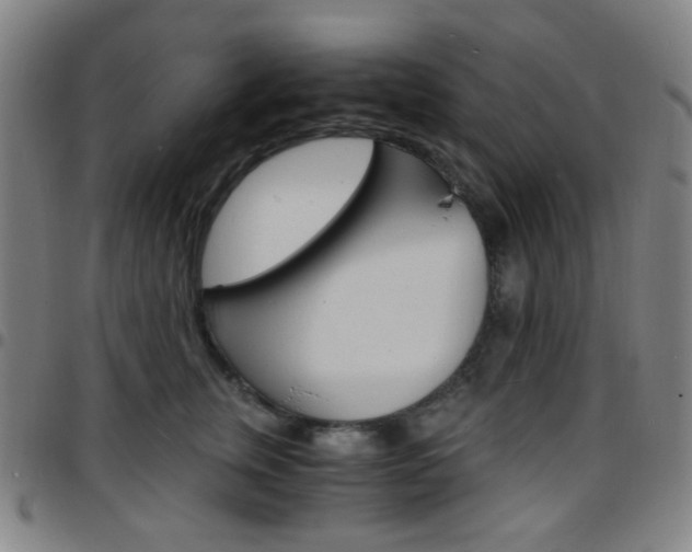 X0000097670759200803071555