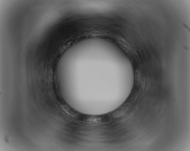 X0000097670760200803071555