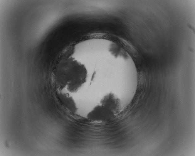 X0000097670761200803071555