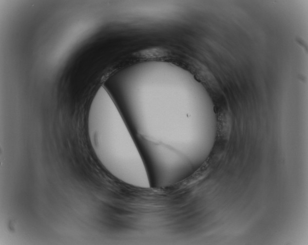 X0000097670762200803071555