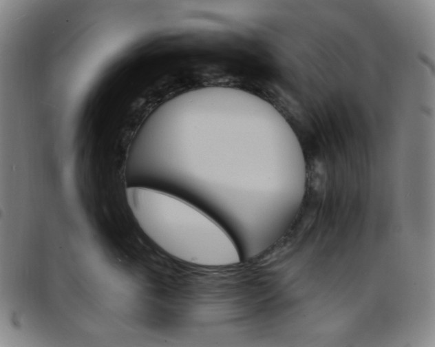 X0000097670763200803071555