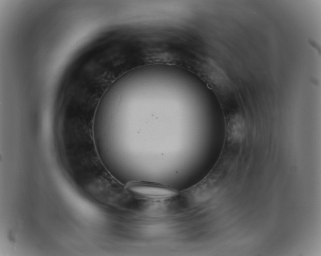 X0000097670764200803071555