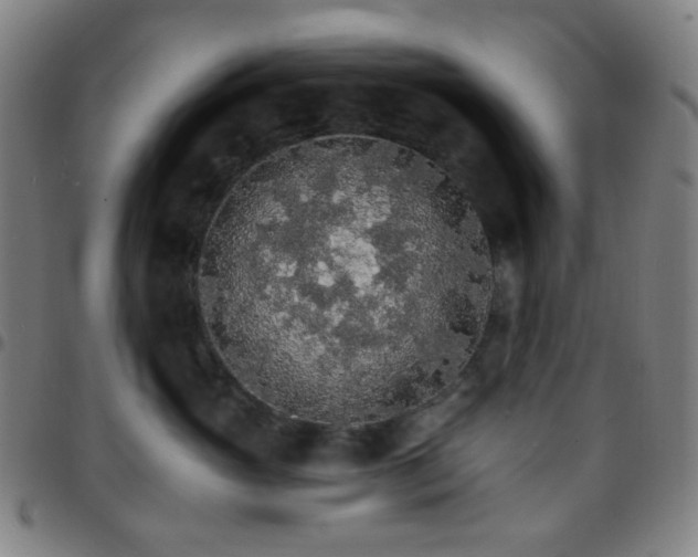 X0000097670765200803071555