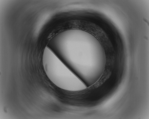 X0000097670766200803071555