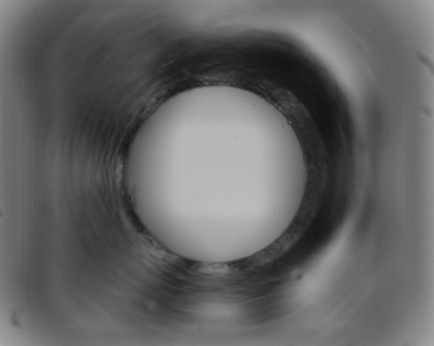 X0000097670767200803071555