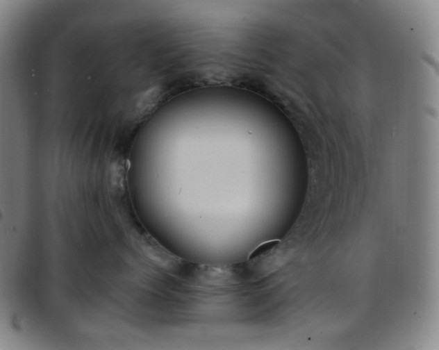 X0000097670768200803071555