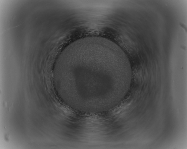 X0000097670769200803071554