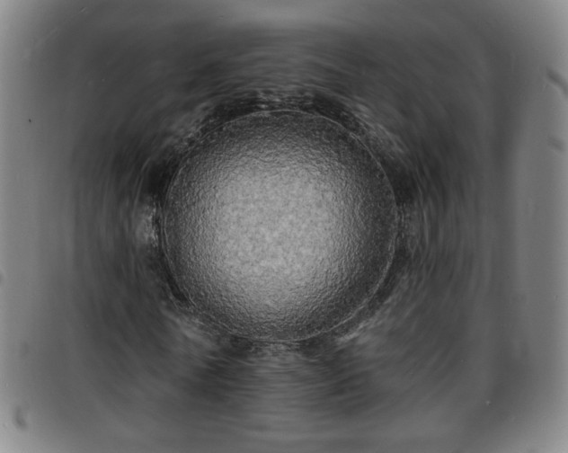 X0000097670770200803071554