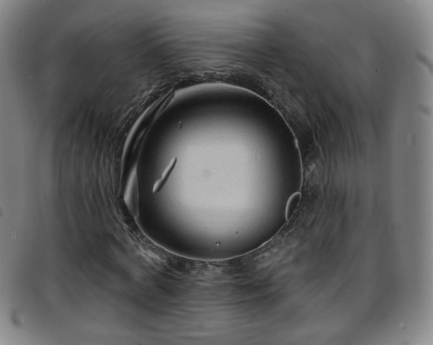 X0000097670772200803071554