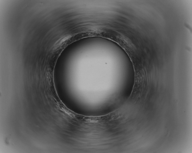 X0000097670773200803071554
