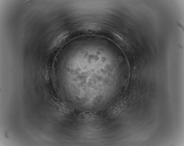 X0000097670774200803071554