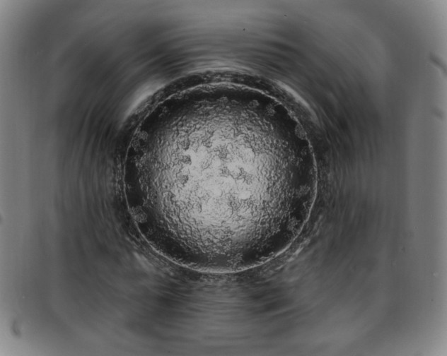 X0000097670775200803071554