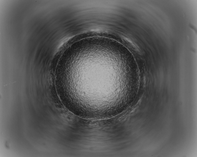 X0000097670776200803071554