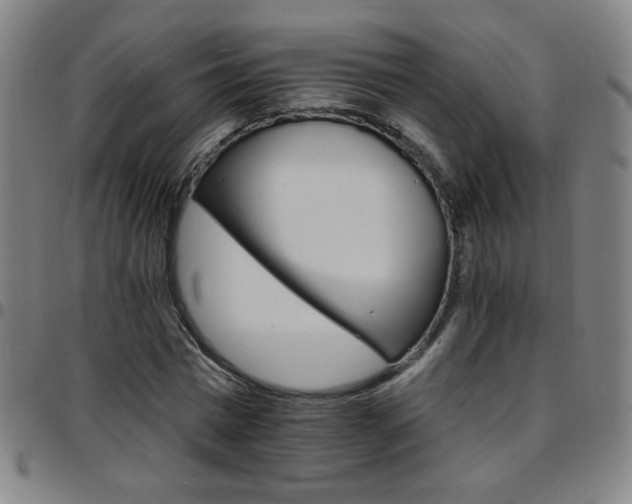 X0000097670777200803071554