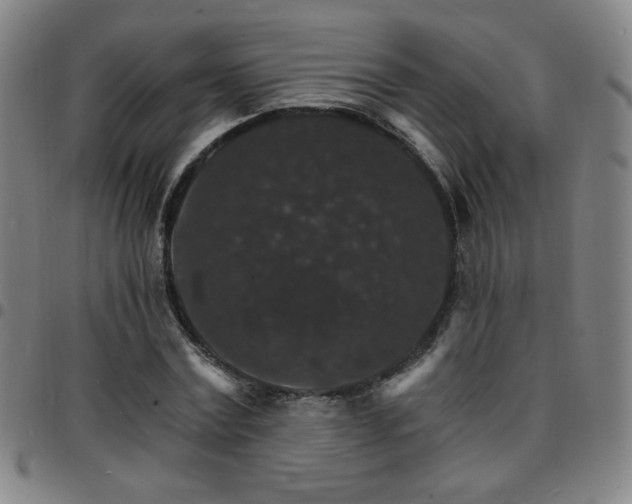 X0000097670779200803071554