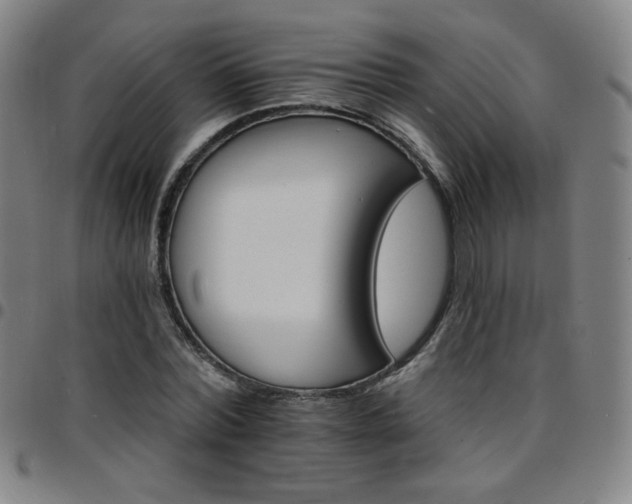X0000097670780200803071554