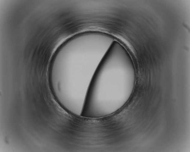 X0000097670783200803071554