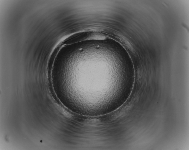 X0000097670784200803071554