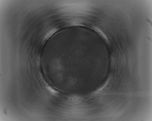 X0000097670785200803071554