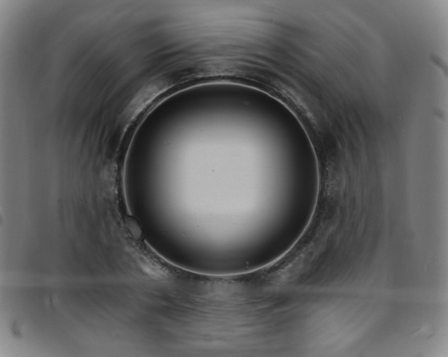 X0000097670786200803071554