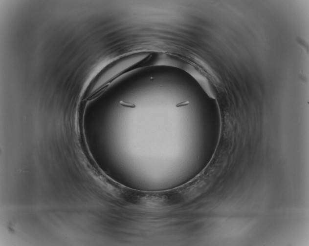 X0000097670788200803071554