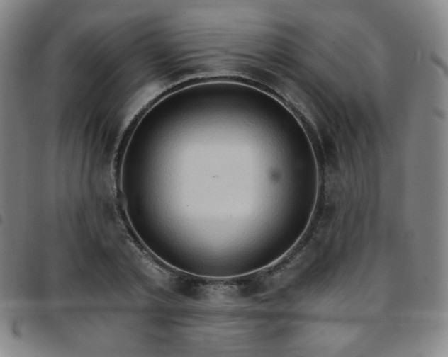 X0000097670789200803071554