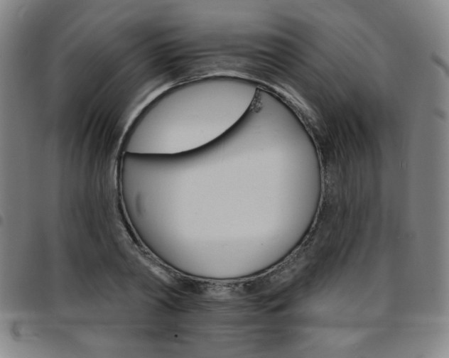X0000097670790200803071554